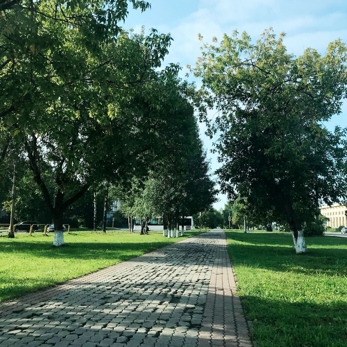 Неожиданно вышло солнце, но теплее не стало