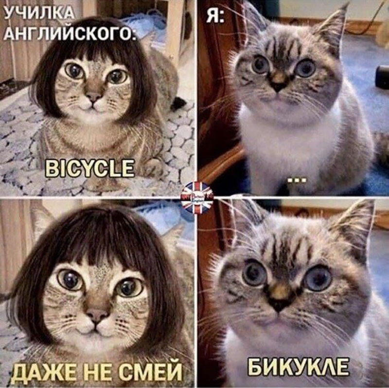 Сестра прислала забавную картинку о чтении на английском