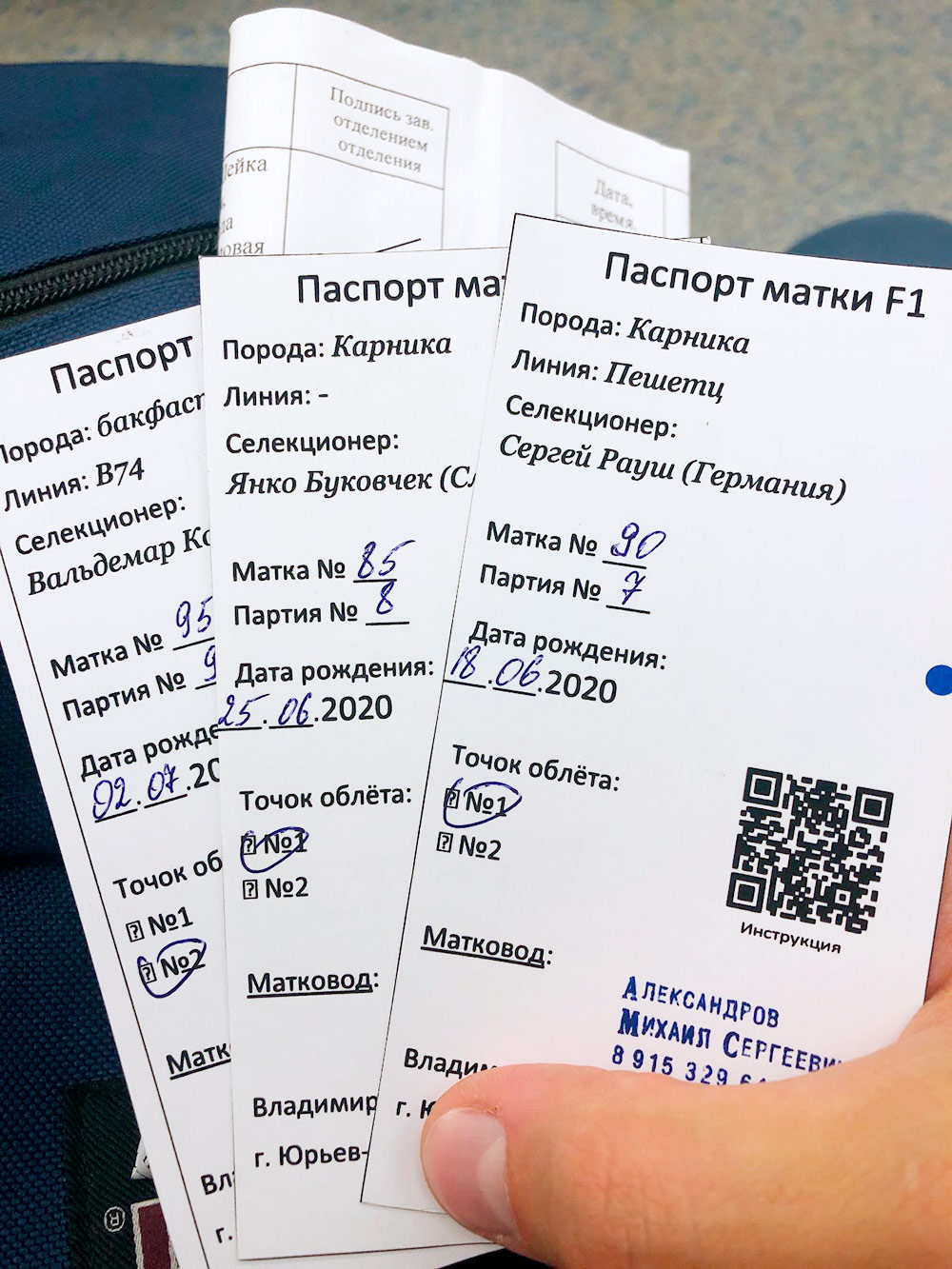 А это их паспорта
