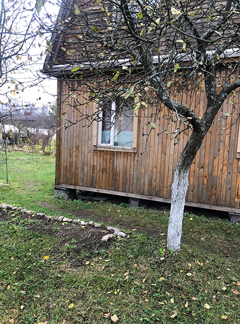 Дача поздней осенью