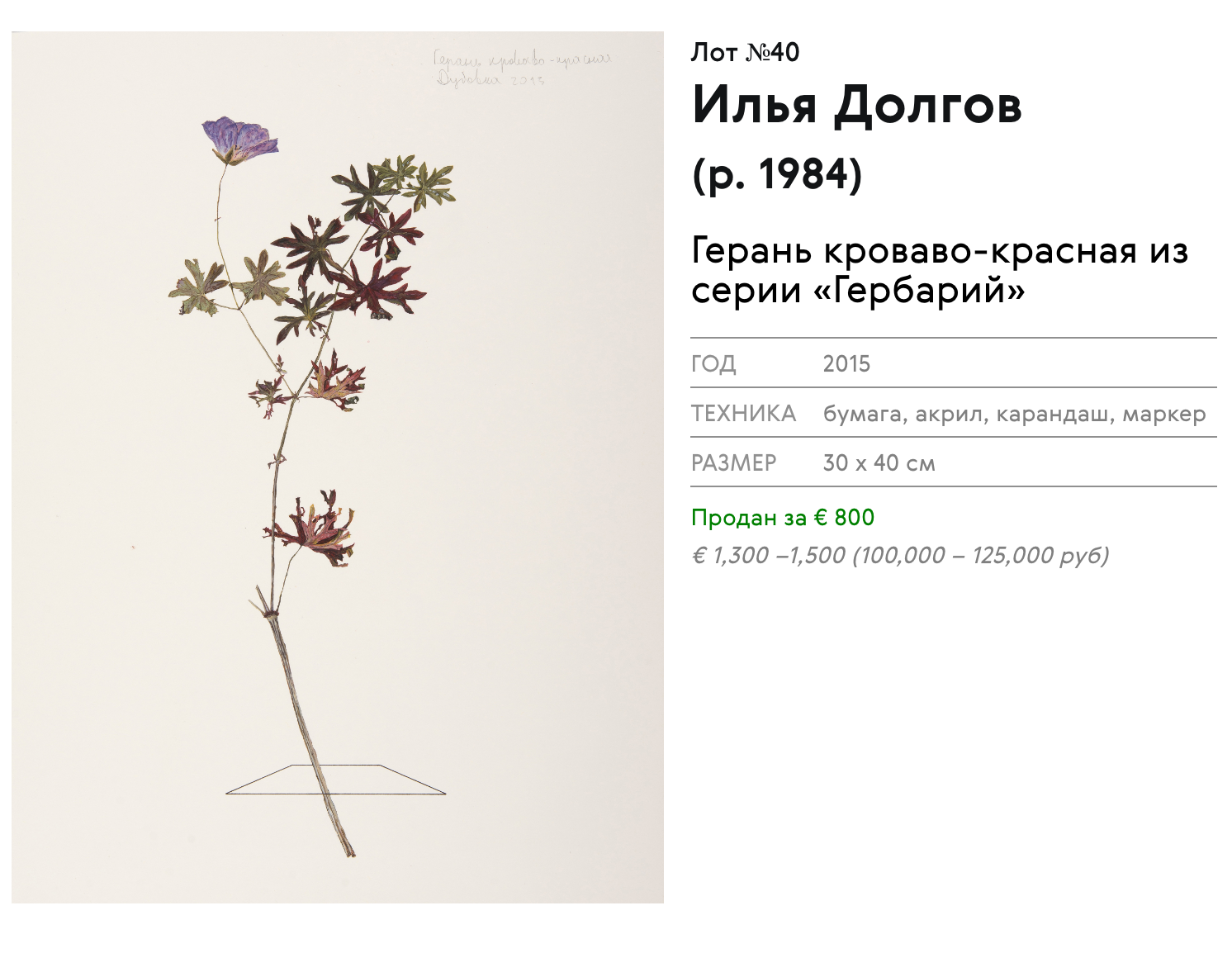 Серия «Гербарий» продается в московской галерее XL, цена за 1 лист — 1100 €