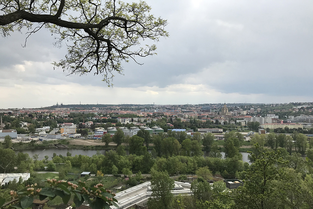 Вид на город с самой высокой точки зоопарка