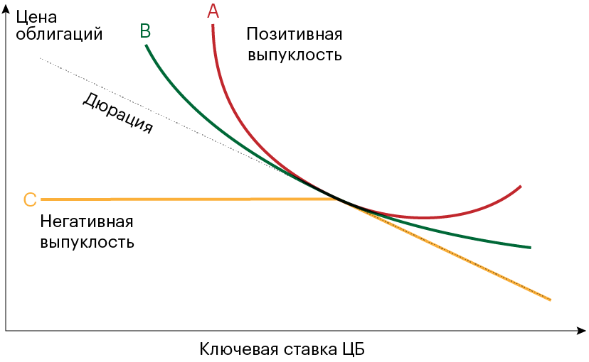 Красная и зеленые линии — графики цены двух облигаций с позитивной выпуклостью. Желтая линия — график цены облигации с негативной выпуклостью. Пунктирная линия — дюрация облигаций. Выпуклые линии отклоняются от пунктирной линии при изменении процентных ставок