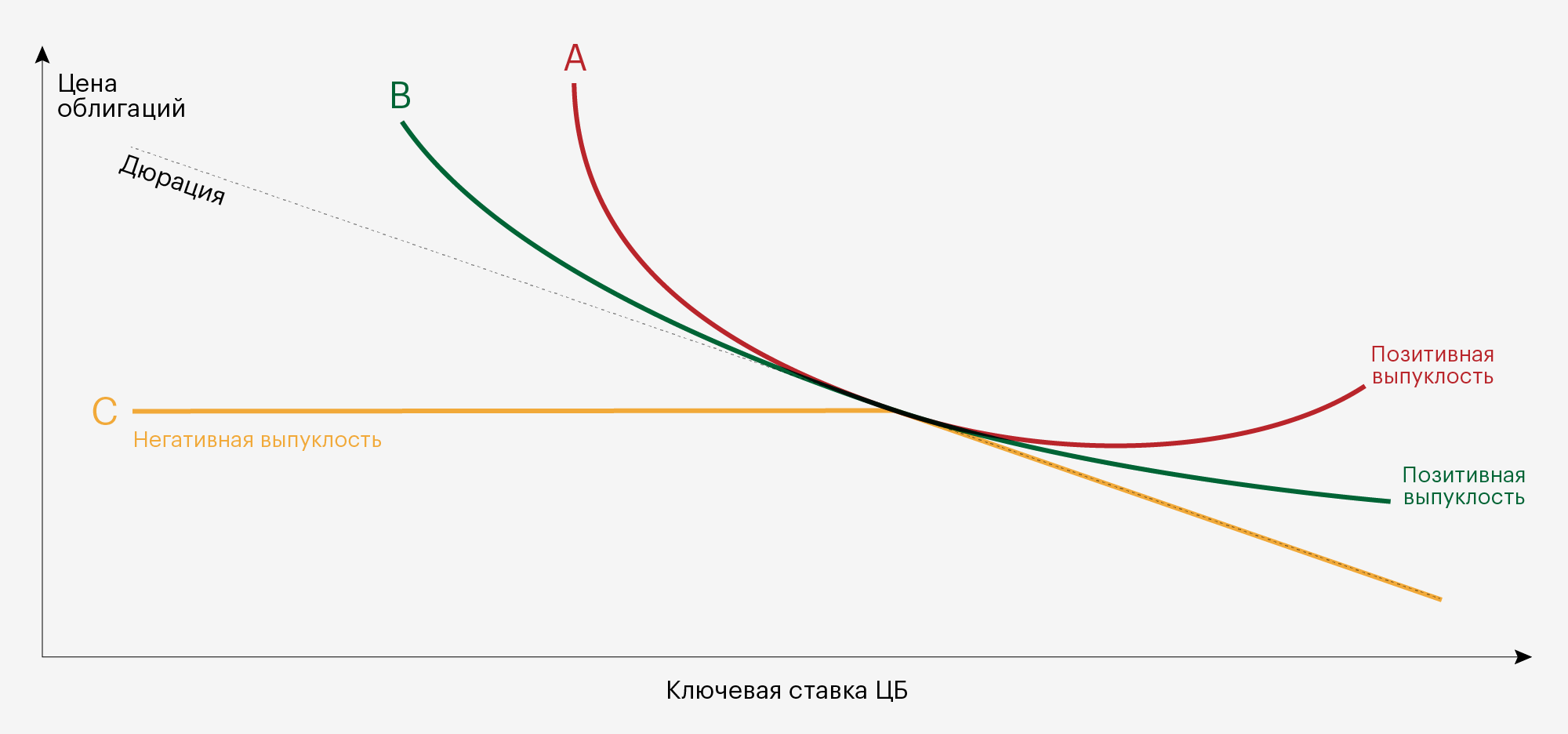 Красная и зеленые линии — графики цены двух облигаций с позитивной выпуклостью. Желтая линия — график цены облигации с негативной выпуклостью. Пунктирная линия — дюрация облигаций. Выпуклые линии отклоняются от пунктирной линии при изменении процентных ставок