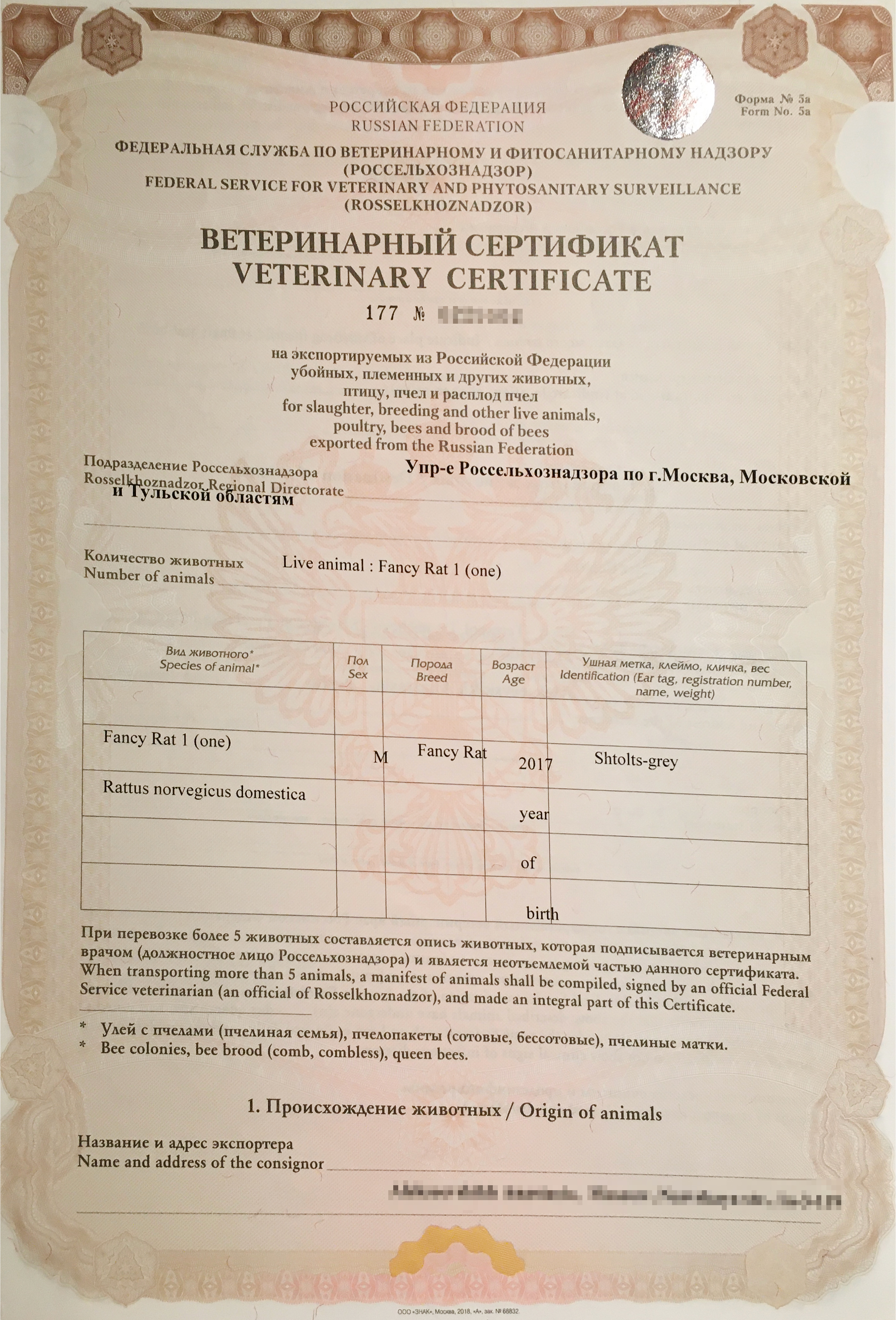 Международный ветеринарный сертификат для крысы