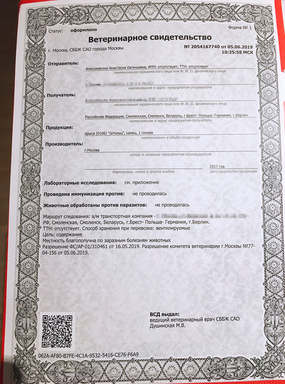 Копия ветеринарного свидетельства на крысу. Оригинал я обменяла на международный ветеринарный сертификат