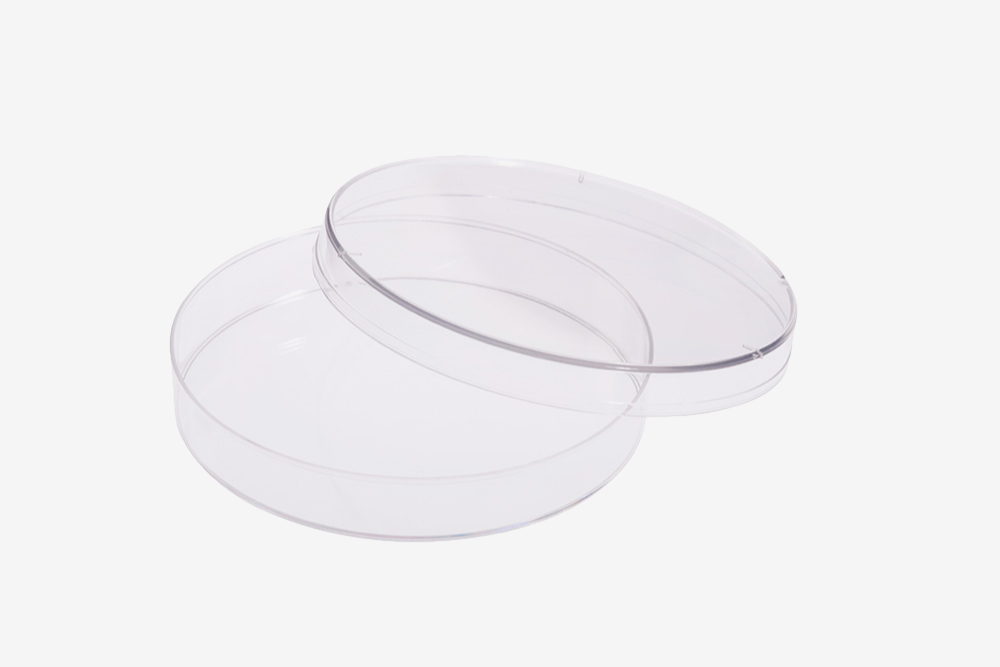 Так выглядит чашка Петри. Источник: Bellco Glass