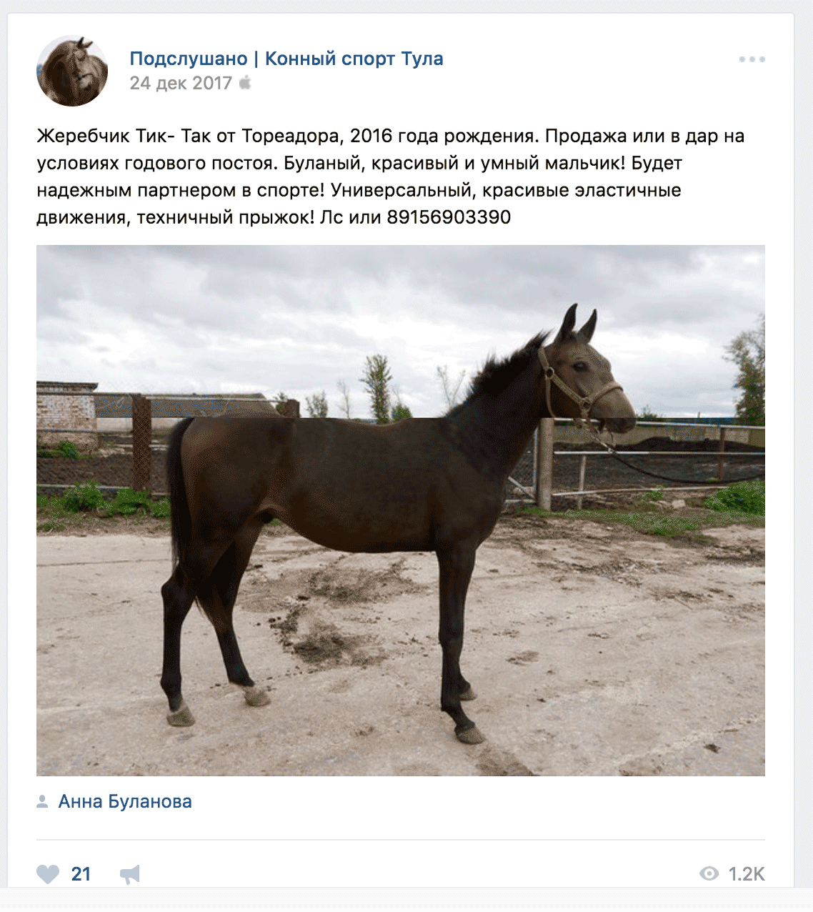 В этой конюшне постой стоит 11 000 р. в месяц — 132 000 р. за год. Это и будет цена жеребенка, но при этом весь год у него будет место в конюшне и корм