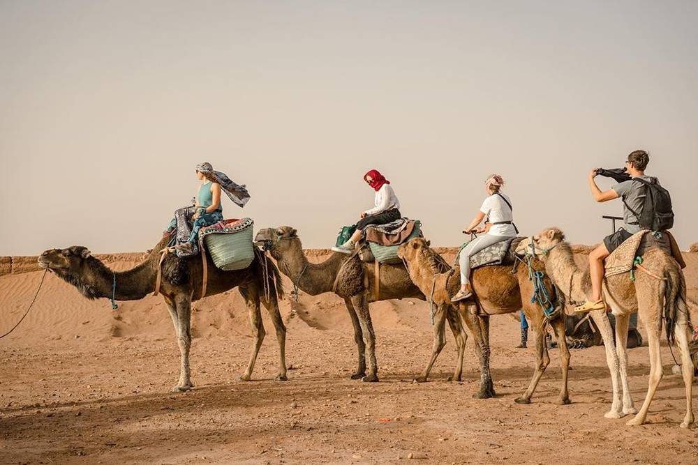 Осваиваем езду на верблюдах в пустыне Сахара в Марокко