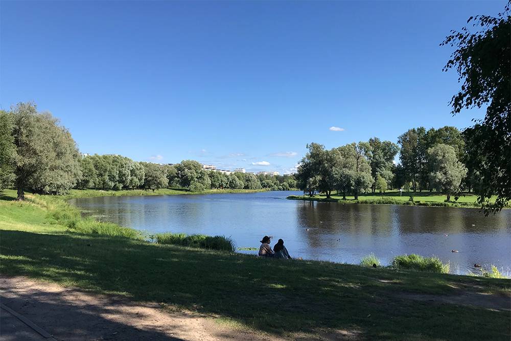 яндекс драйв зсд платно или нет
