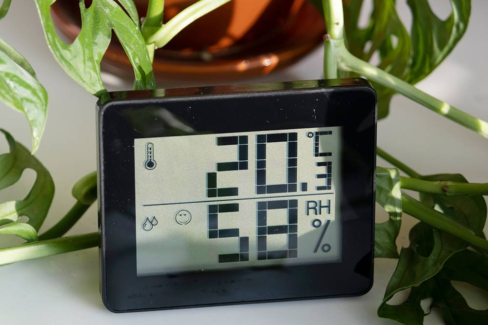 Гигрометр похож на электронные часы, только показывает температуру и влажность воздуха. Источник: D.L.Sakharova / Shutterstock