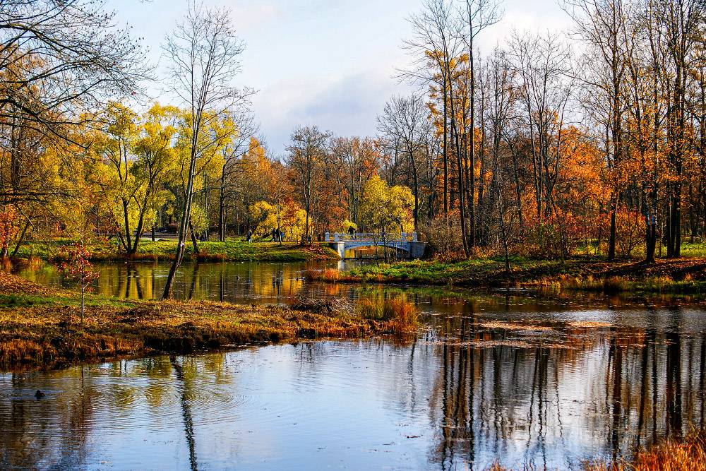 Гатчина Парк Фото Осенью