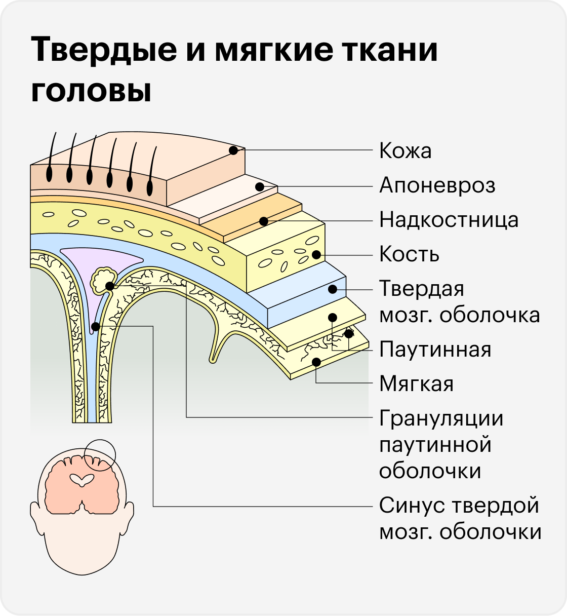 При&nbsp;проникающей черепно-мозговой травме повреждаются ткани головы вплоть до твердой мозговой оболочки