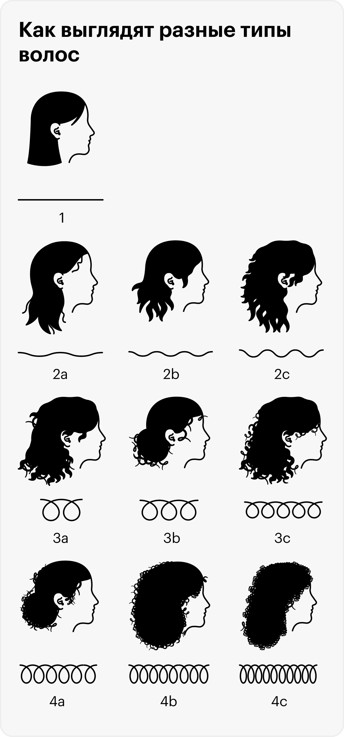 Типы волос по степени завитка: 1 — прямые волосы, 2— волнистые, 3 — кудрявые, 4 — очень кудрявые