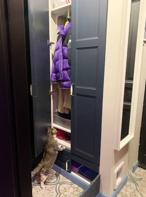 Готовый шкаф и инспектор кошка. С лотками не возникло проблем: котята быстро научились пользоваться люком