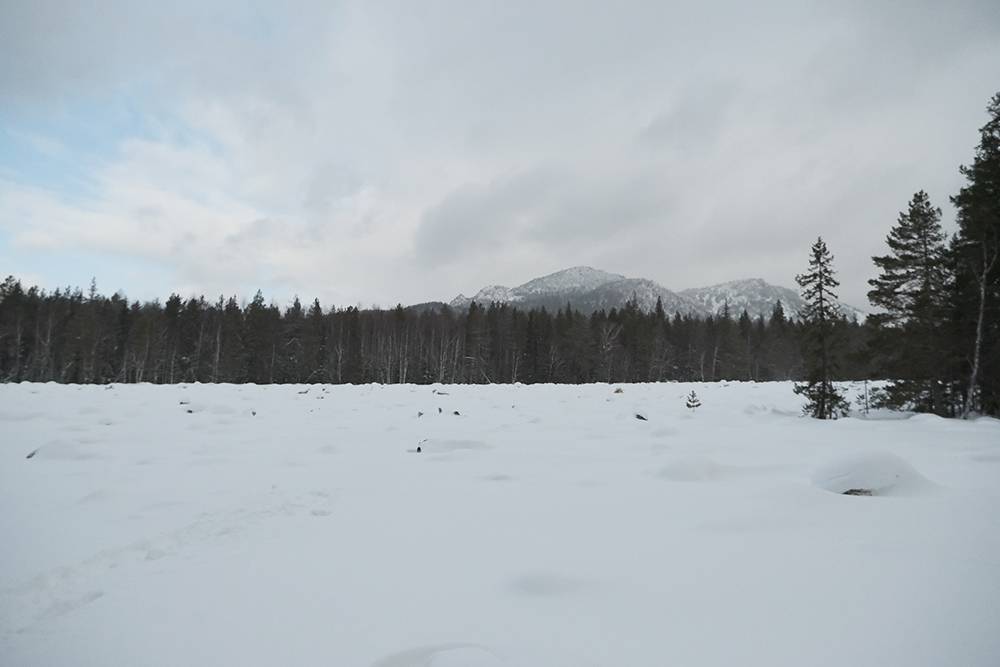 Тещин Язык Таганай Фото