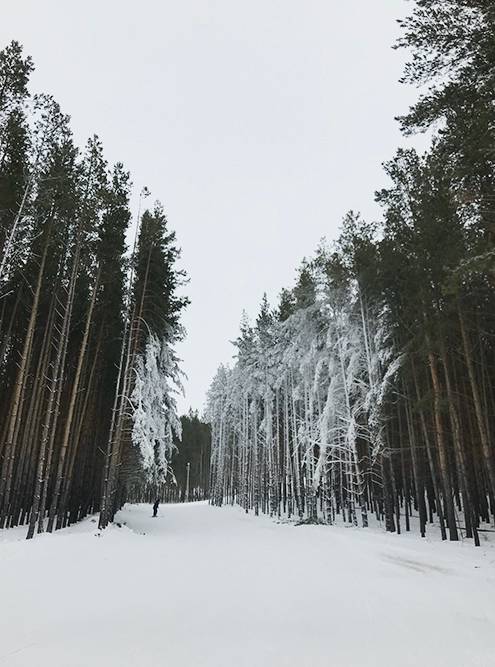 Возле леса у города тоже можно покататься на лыжах
