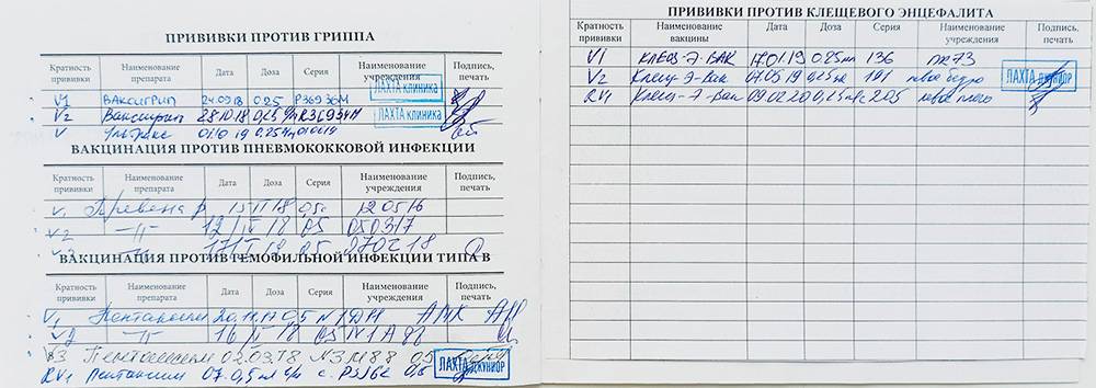 Как выглядит прививочный лист