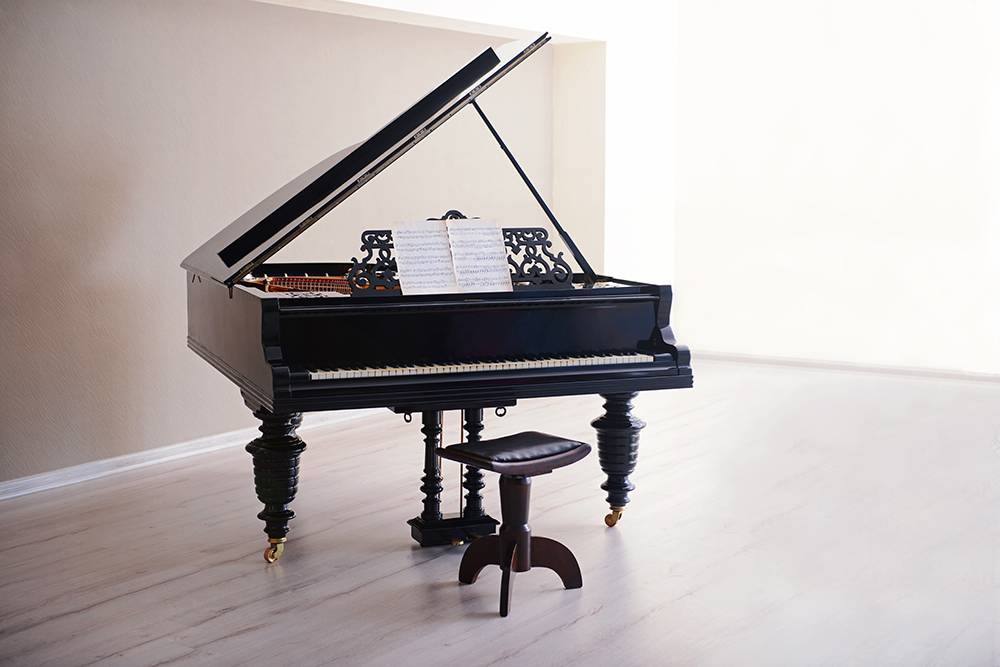 Вот так выглядит рояль. Источник: Africa Studio / Shutterstock