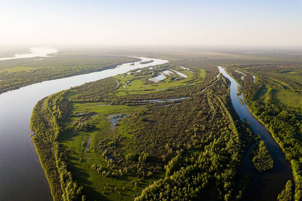 Посмотреть на Васюганские болота летом можно только из вертолета. Источник: Dmitriy Kandinskiy / Shutterstock