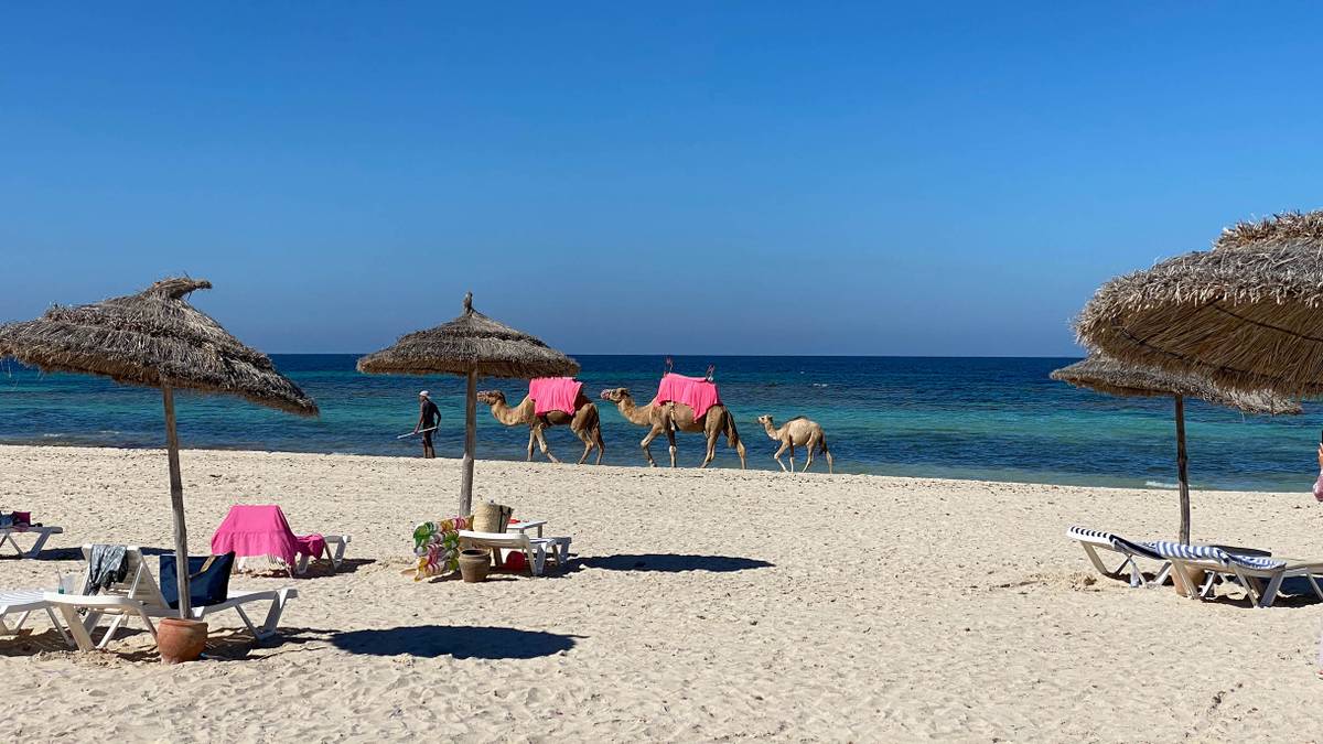 Тунис отменяет карантин для пакетных туристов: правила въезда в 2021 году