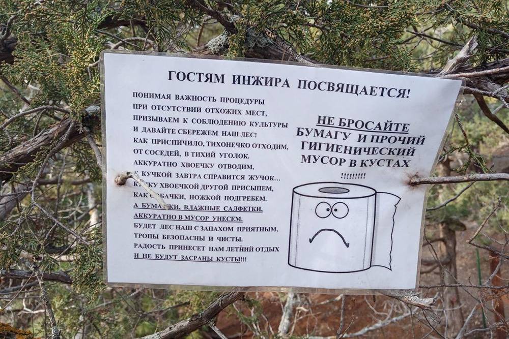 В кемпинге «Инжир» в Крыму написали творческую инструкцию, как ходить в туалет на природе. Возможно, она работает. Я была там в январе и не видела полян с салфетками