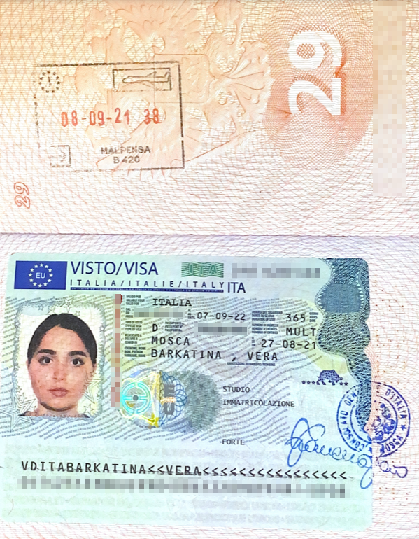 Моя виза