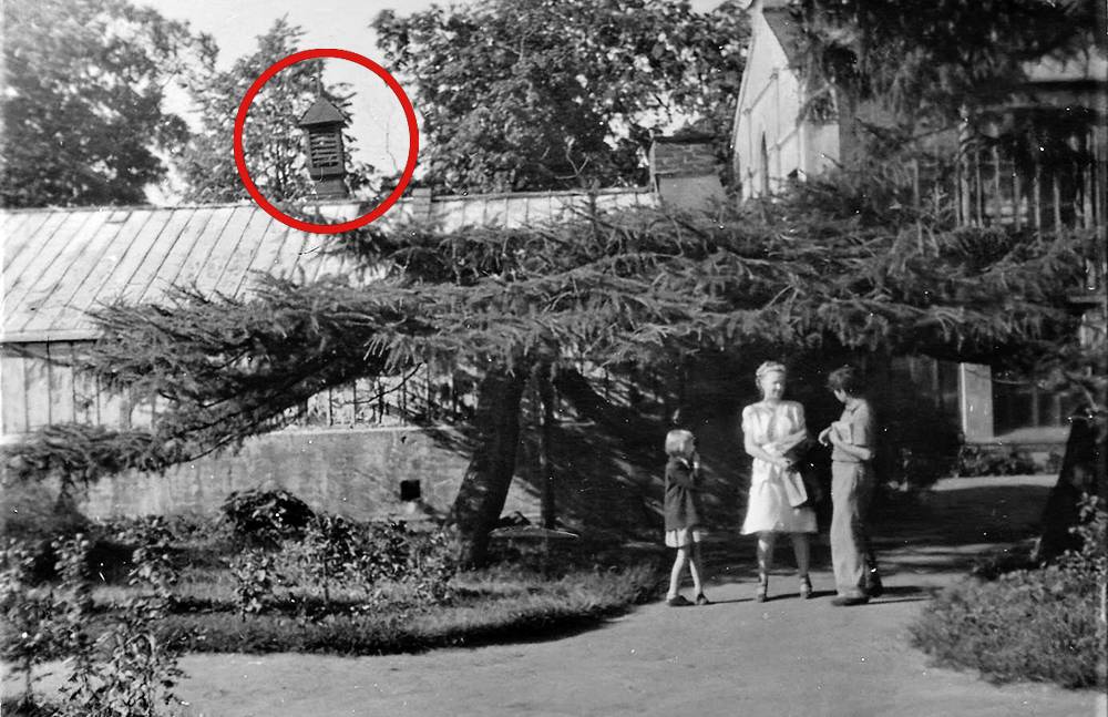 Это фотография студентов конца сороковых, пейзаж на которой напоминает ботанический сад