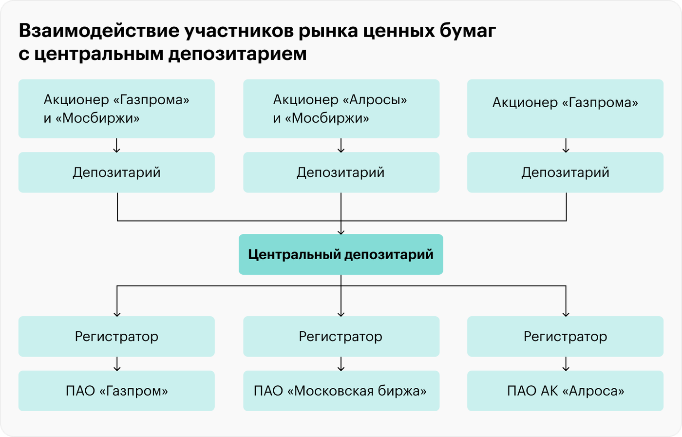 Деятельность профессионального участника рынка ценных бумаг