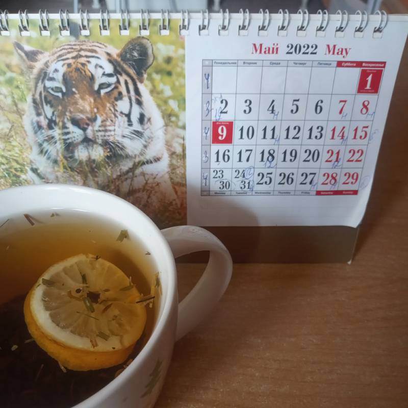 За чаем медитирую с календарем