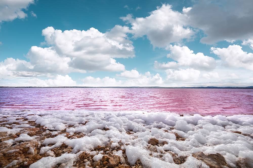 Одна из самых известных достопримечательностей — горы соли на фоне розовой лагуны. Это не только любимое место для&nbsp;фотосессий, но и важный промышленный объект, обеспечивающий солью всю Европу. Источник: borchee / IStock