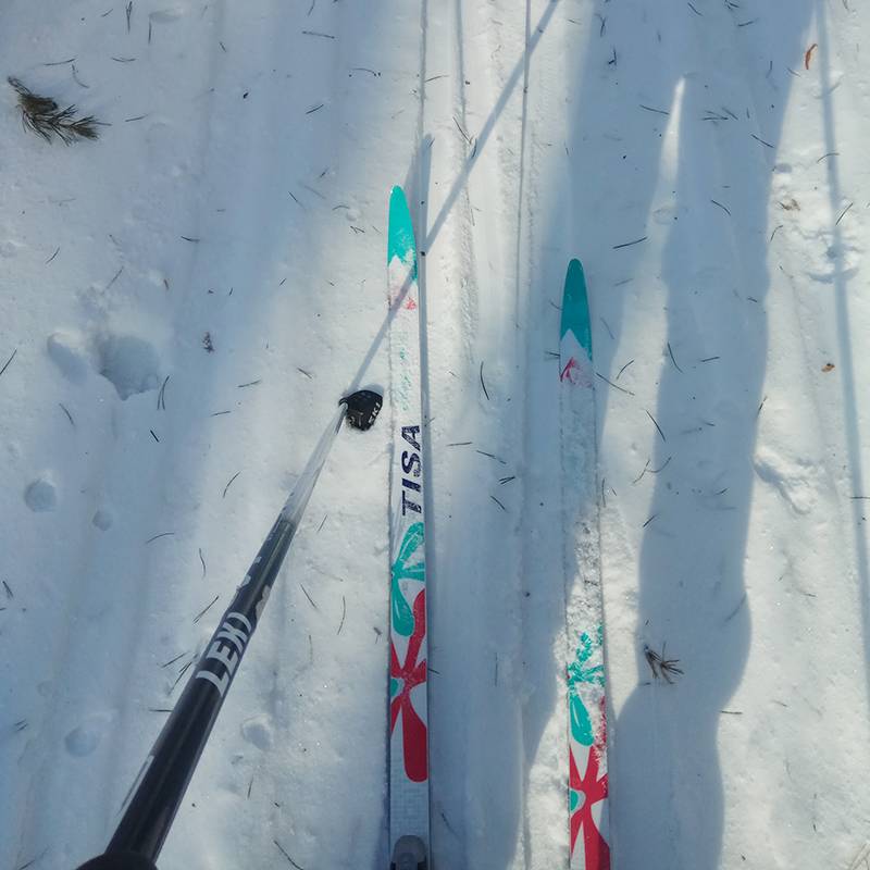 Это мои комбинированные лыжи, я тестировала их в −24&nbsp;°C — отлично катят