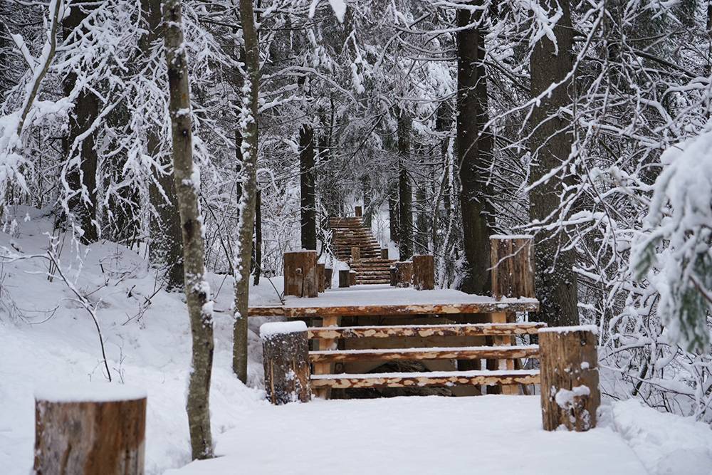 Зимними вечерами деревянные лестницы красиво подсвечиваются. Источник:&nbsp;Гора Паасо | Карелия&nbsp;/ vk.com