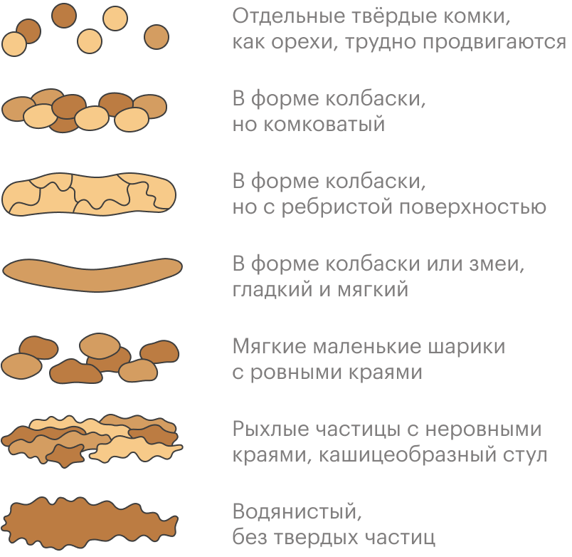 Что такое ленточный кал фото