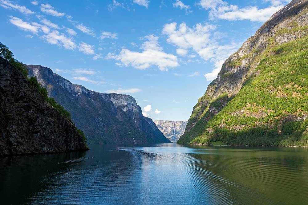 Норвежский Нерей-фьорд. Источник: Wipark Kulnirandorn / Shutterstock