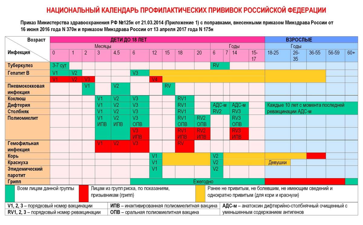 Схема вакцинации против гепатита в