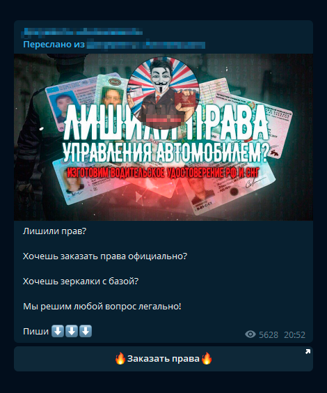 В канале продавцы утверждают, что все документы изготавливаются официально и проводятся по базам данных