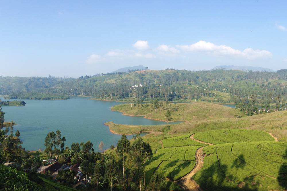 Холмы с чайными плантациями, эвкалипты и озера — это пейзажи горной Шри-Ланки