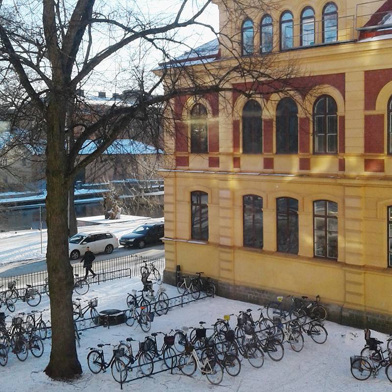 Вид из окна школы на перерыве, февраль 2018