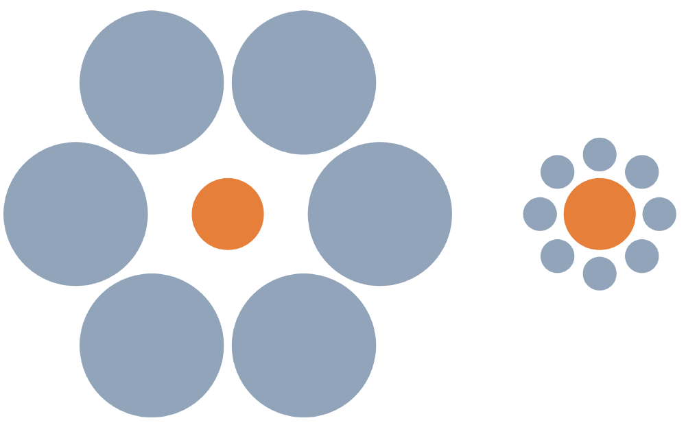 Круги оранжевого цвета не отличаются по размеру, однако из-за расположенных рядом фигур круг справа кажется больше. Источник:&nbsp;wikimedia.org