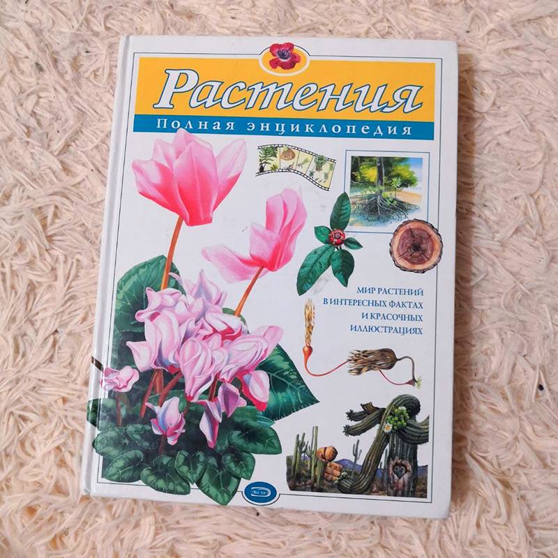 Кажется, лучше этой энциклопедии про&nbsp;растения еще ничего не придумали на русском языке