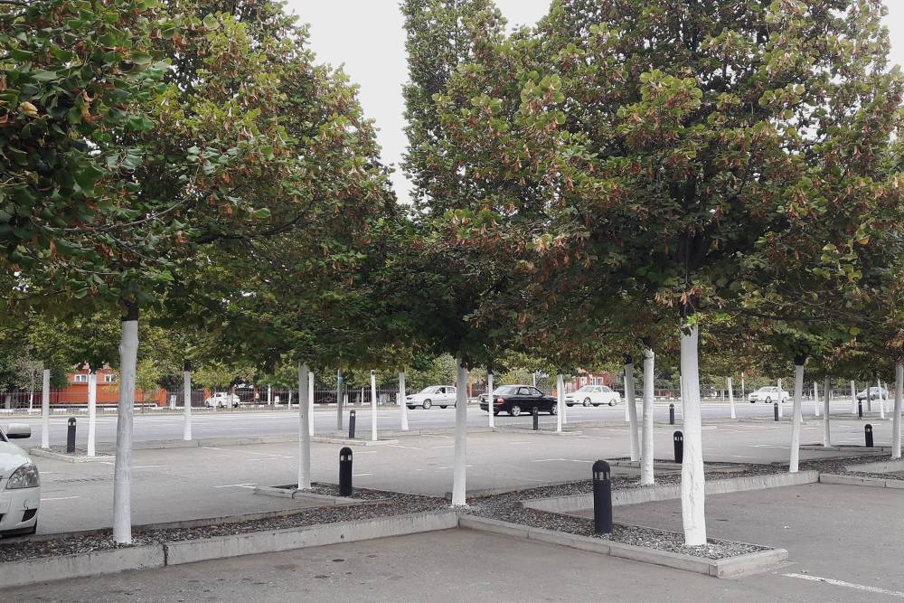 Идеальное планирование городского пространства в Грозном. В Омске такие парковки не делают — просто вырубают деревья и закатывают площадки в асфальт