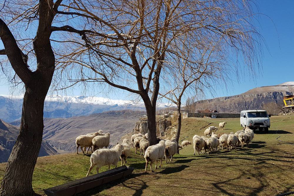 Типичный пейзаж в нагорной части Дагестана
