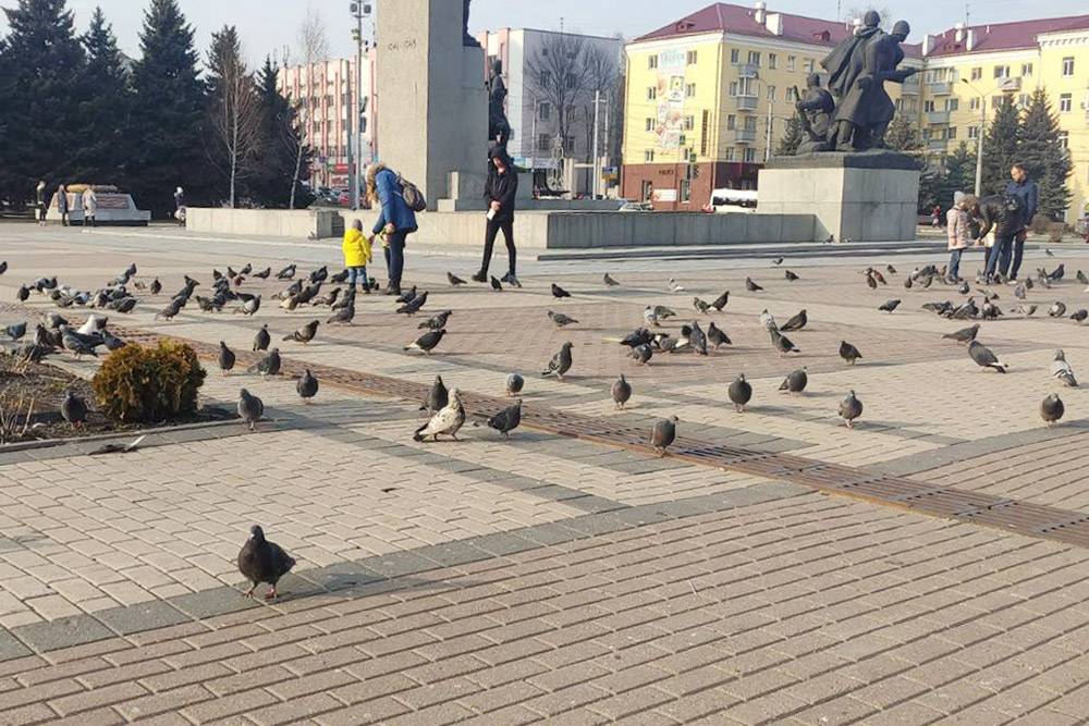 Некст на площади партизан. Камелот Брянск площадь Партизан. Горка на площади Партизан в Брянске. Камеры на площади Партизан. Памятник волку в Брянске на площади Партизан нтувокавтнцере.