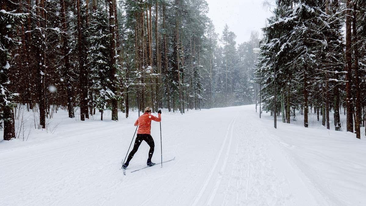 Сколько стоит кататься на беговых лыжах