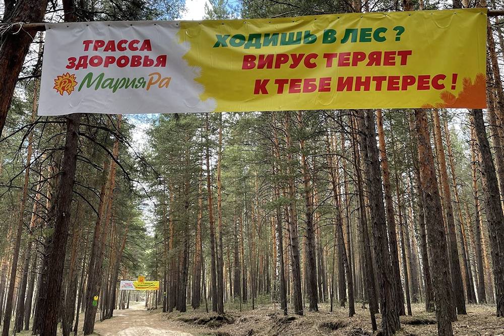 Так выглядит трасса здоровья в Барнауле. Чтобы бегуны не заблудились, маршрут отмечен краской на деревьях. Это были километры сплошного дикого леса. Людей вокруг почти не было, и я боялась встретить дикое животное