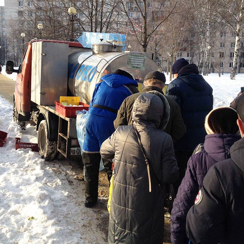 Даже зимой в мороз и гололед за молоком совхоза в Петербурге стоит очередь