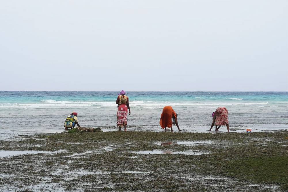 В отлив на пляже Падже местные женщины собирают моллюсков