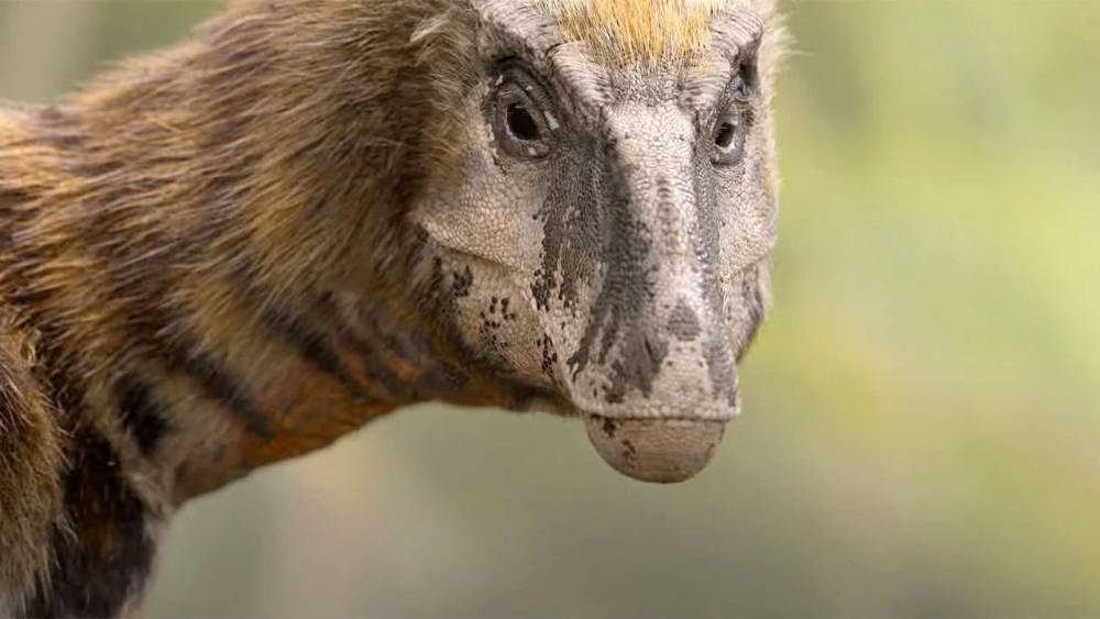 Вот так в «Доисторической планете» выглядит детеныш тираннозавра. Источник: Apple TV+