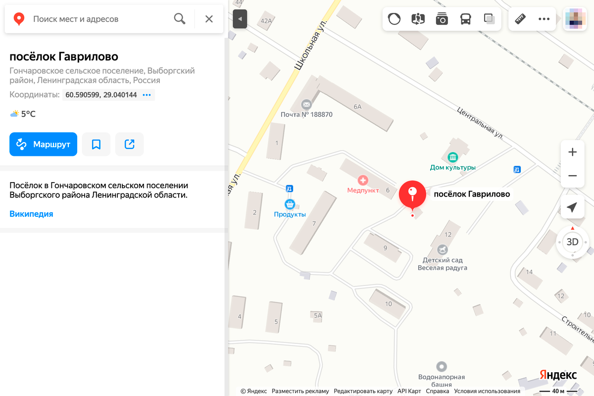 Смотрю место вокруг тех домов, что приглянулись. Гаврилово — крупный поселок, поэтому там есть и магазины, и медпункт, и даже церковь